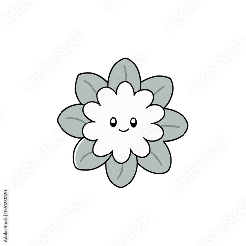 dusty miller flower  full concept on white backgro.svg