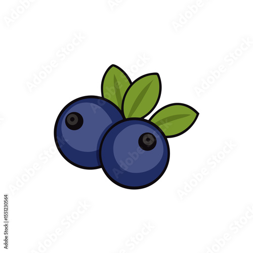 huckleberry fruit on white background   .svg