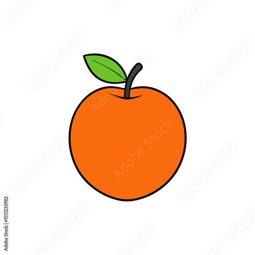 nectarine fruit on white background   .svg