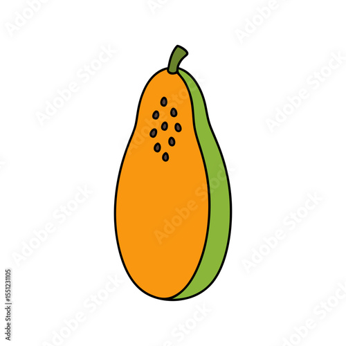 papaya fruit on white background   .svg