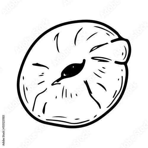 Fresh bagel. Hand drawn doodle vector. Baked tasty breakfast food. Bread ring. Confectionery round bun. Bakery cafe menu. Pastry. Illustration line art element.