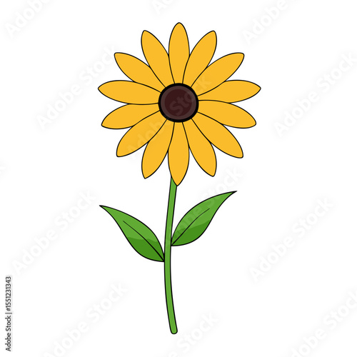 rudbeckia flower  full concept on white background.svg