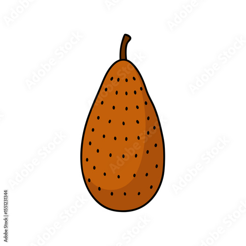 salak  snake fruit  fruit on white background   .svg