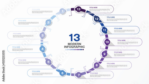 Basic infographic design 13 options or steps. 