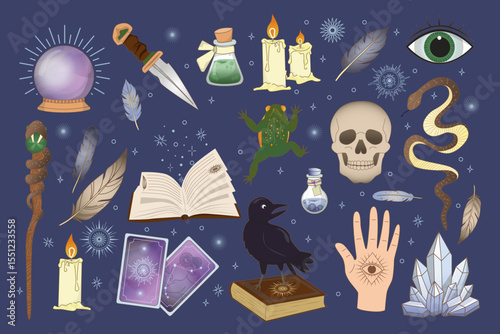 Set of magic items. Magic ball, magic spell book, skull bone, dagger, candles, cards, crystal, staff. Totem animals toad, raven, snake Vector hand drawn illustration