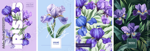 Beautiful and Elegant Iris Illustrations Ideal for Floral Design as Well as Home Decor. Vectorized hand drawn gouache illustrations.
