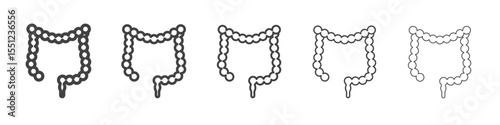 Large intestine icon outline ilustration vector symbol