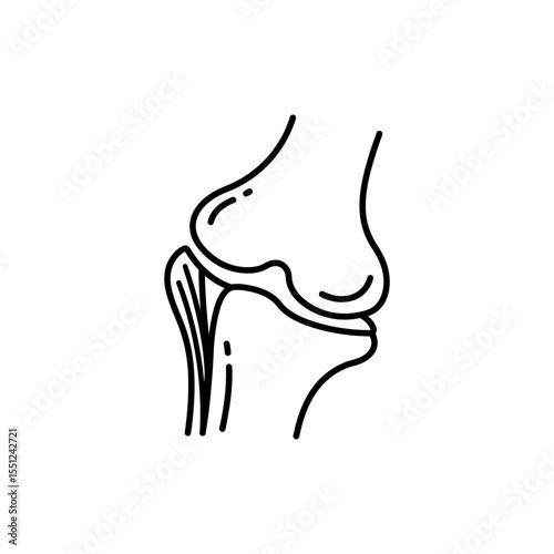 Black line icon of cartilage cap at long bone joint with soft tissue details