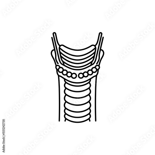 Black line icon of human pharynx and larynx with layered throat anatomy