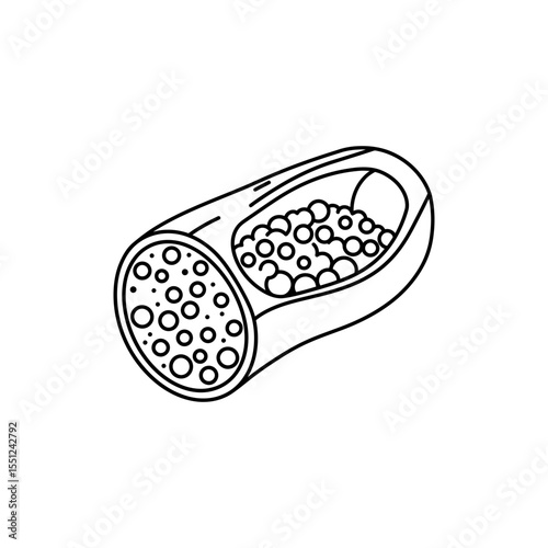 Black line icon of long bone cross-section with internal bone marrow cavity