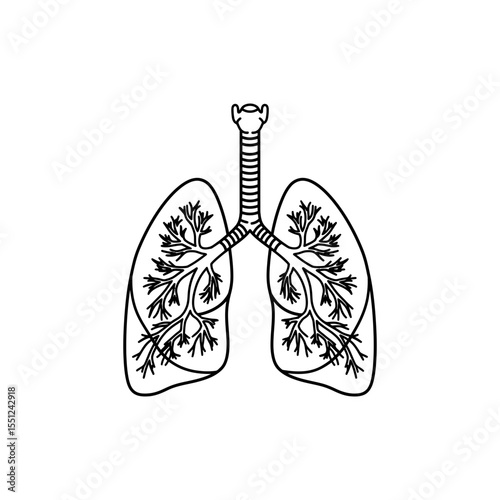Black line icon of human lungs with trachea and bronchial branches detailed