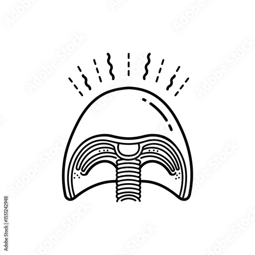Black line icon of diaphragm in body cross-section showing chest and abdomen division