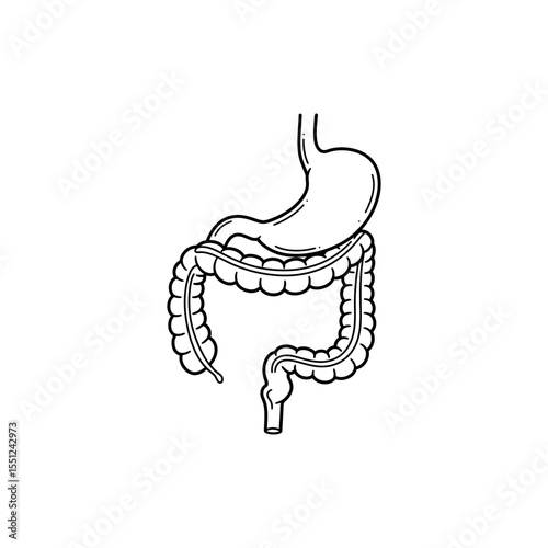 Black line icon of rectum and anus as final segment of digestive system