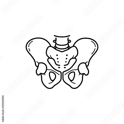 Black line icon of human pelvis front view with iliac crest and sacrum detailed