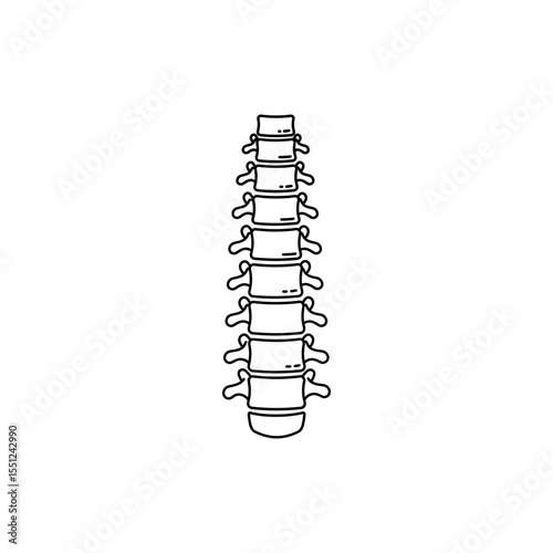 Black line icon of human vertebral column with cervical to lumbar vertebrae stacked
