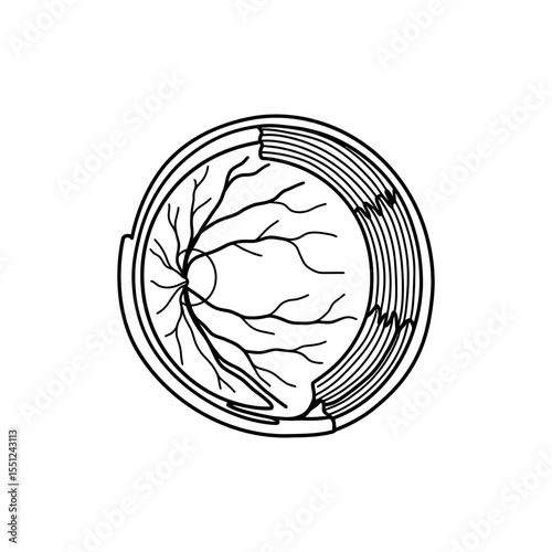 Outlined icon of human eye cross-section with detailed retina layers