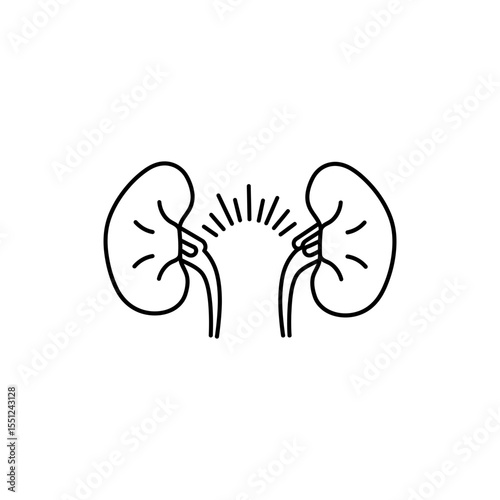 Outlined icon of adrenal glands placed on top of kidneys in thin black line style