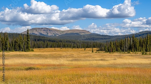 Expansive meadow under a vibrant sky, golden grasses stretching towards a distant mountain range, dotted with evergreen trees