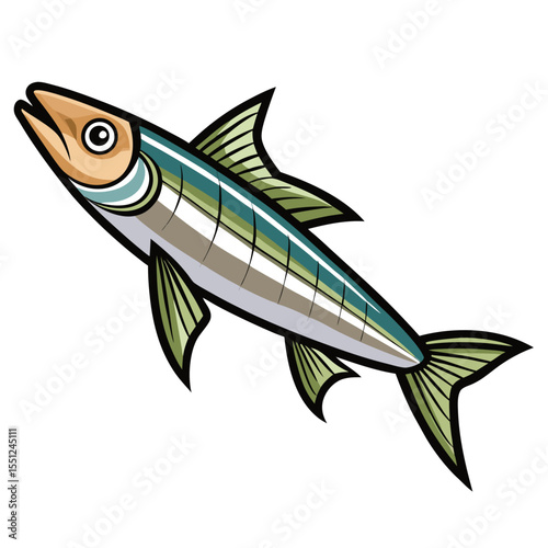 Anchovy Fish Illustration On White