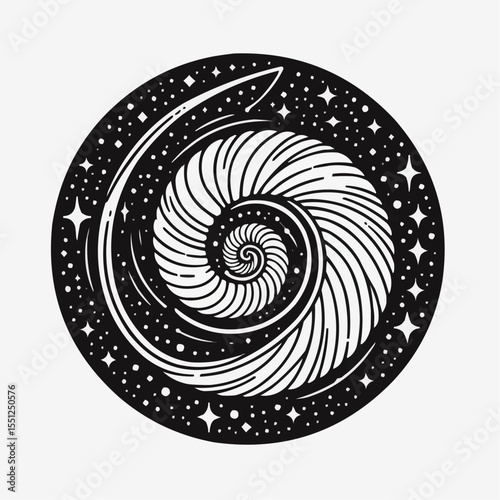 Abstract illustration of a nautilus shell spiraling into a cosmic background in black and white art