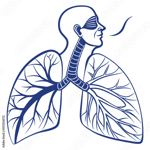 Stylized human lungs and respiratory system illustration isolated on white background
