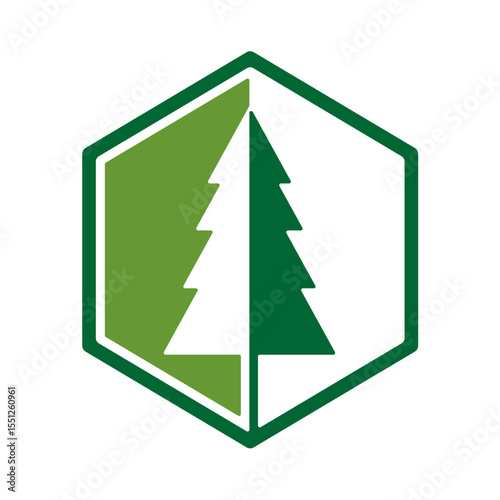 Simple pine tree inside the hexagon vector logo