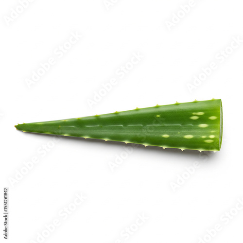 Flat Aloe Vera Leaf Facing Upward Tip Pointing Forward
