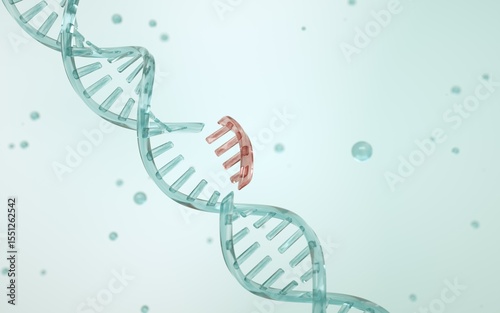 Gain-of-function research. A section of DNA is breaking apart. The concept of genome editing. Innovative methods to treat genetic diseases. Genetic medicine