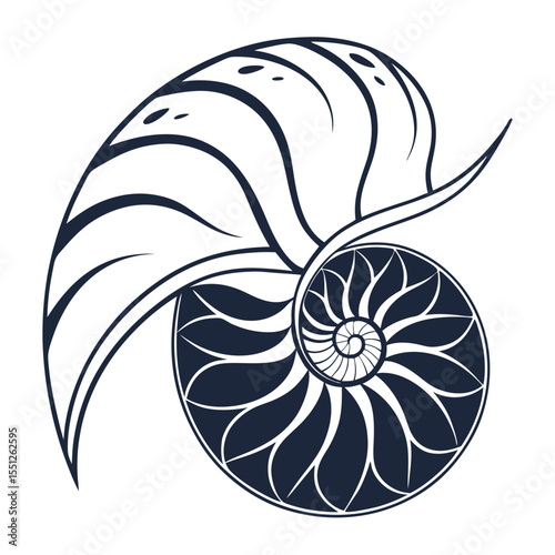 Nautilus shell illustration a detailed line art design