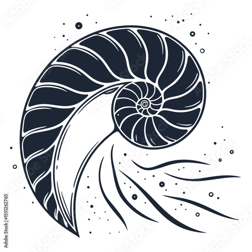 Nautilus shell spiral design artistic illustration of a chambered nautilus