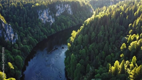 Aerial View of Wide Winding River Flowing Smoothly Through Diverse Terrain with Soft SunlightVideo Background