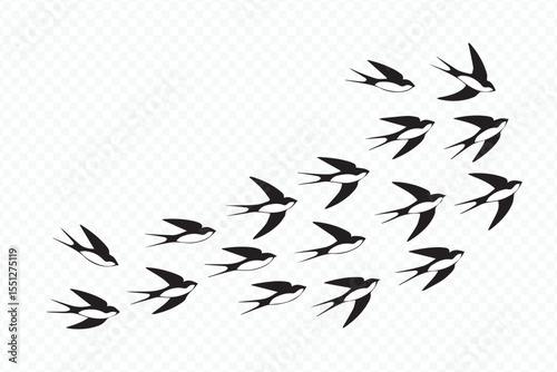 swallows flock silhouette vector, minimalist black and white bird migration illustration for digital and print use
