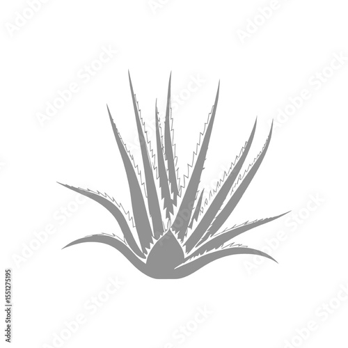Stylized Aloe Vera Plant Silhouette