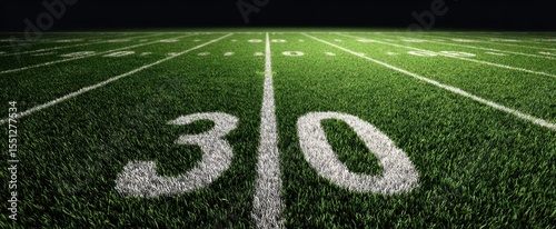 The football field highlighting the 30-yard line on a vibrant green surface.