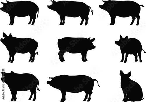 Pig Silhouette Icon Set Featuring Nine Unique Black Figures in a 3x3 Grid—Each Pig Rendered in Distinct Postures Including Standing, Walking, Sitting, and Sniffing, Emphasizing Livestock Variety 