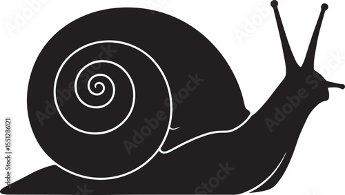 Vector art of black snail silhouette isolated on white background