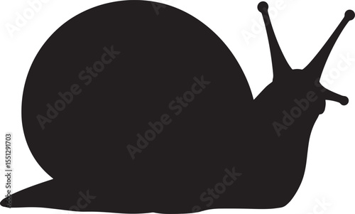 Vector art of detailed black snail illustration isolated on white background
