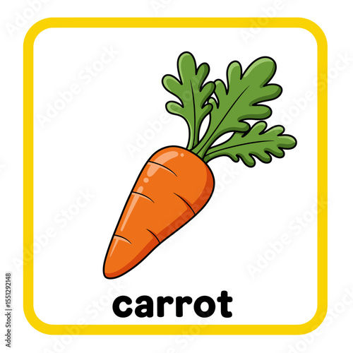 vector illustration of a carrot
