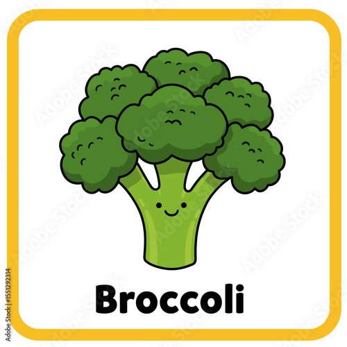 vector illustration of a broccoli