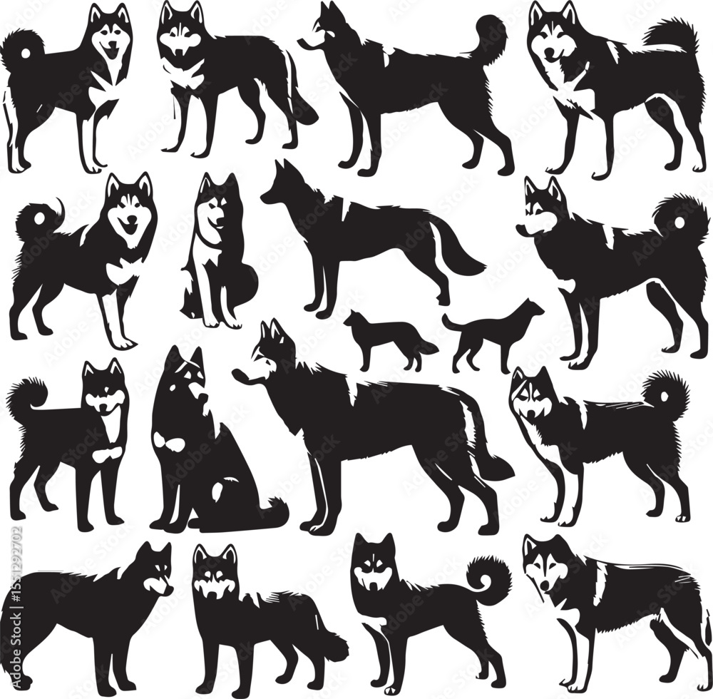 Fototapeta premium Siberian Husky Dog Vector Illustration in Black and White 