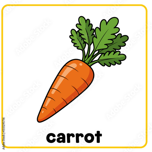 carrot illustration