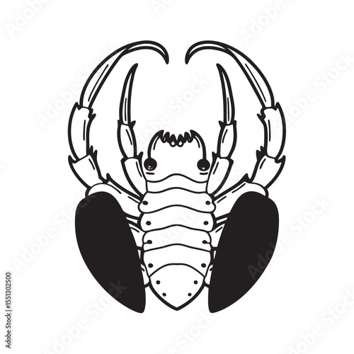 line art of ant lion larva with mandibles