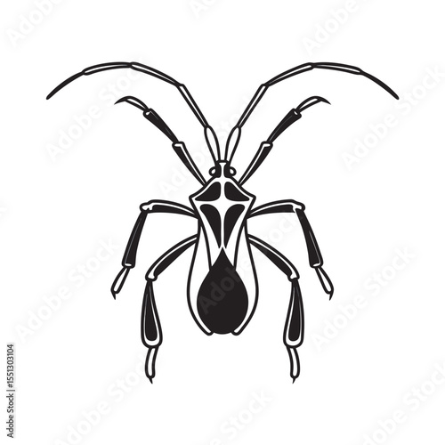 line art of assassin bug with curved legs