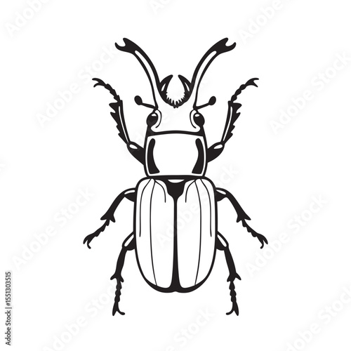 line art of bark beetle on the white background