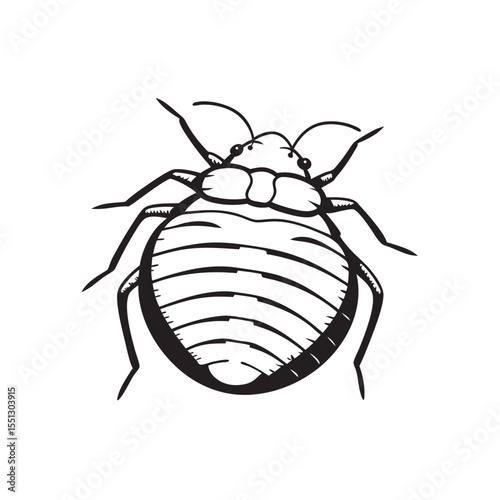 line art of bed bug with flat body on the white