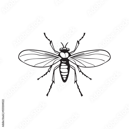  line art of beneficial pollinating  nsects on the white background