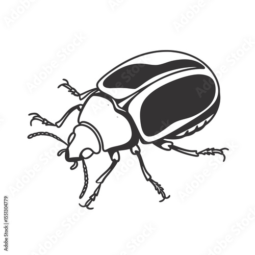  line art of blister beetle in crawling pose nsects on the white background