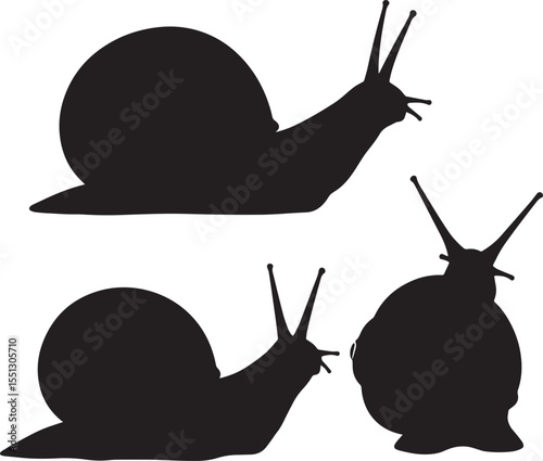 Vector art of four snail silhouettes in different positions, isolated on white background
