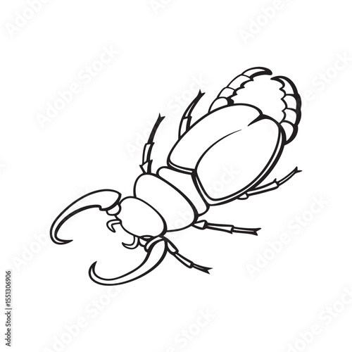  line art of curled up insect in defense pose  insects on the white background