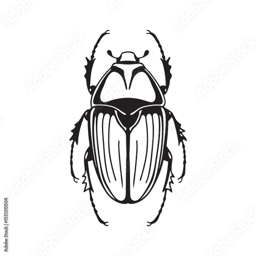  line art of exoskeleton pattern insects on the white background